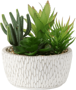 Pequenas plantas falsas sortidas suculentas sintéticas em vasos plantas suculentas realistas artificiais com vasos de cimento para mesa de casa, escritório,...