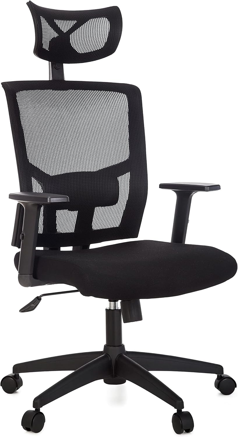 Cadeira ergonômica Anima Presidente