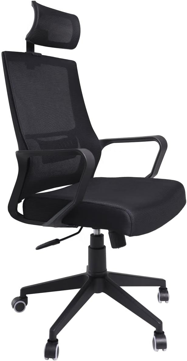 Cadeira ergonômica Duoffice DU210 Haia