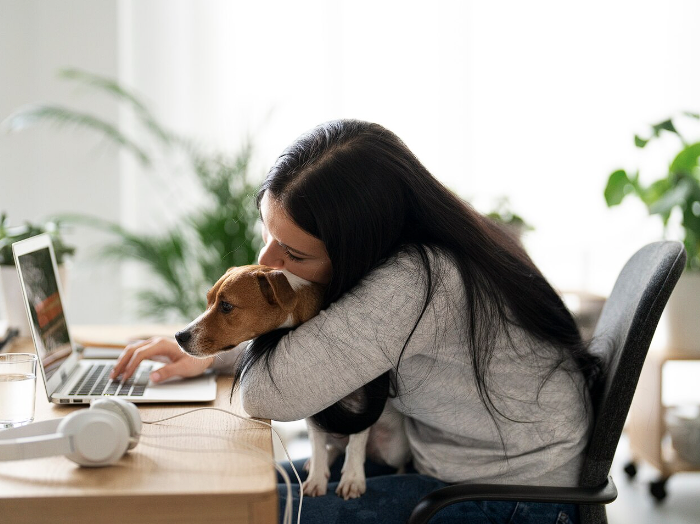 Pets no home office: 7 motivos para ter um bichinho por perto no trabalho remoto