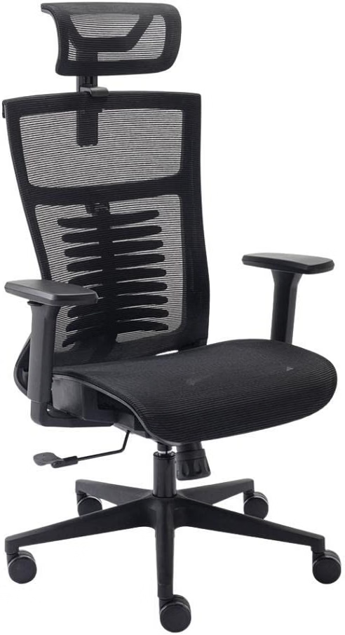 Cadeira ergonômica Elements Vertta Pro
